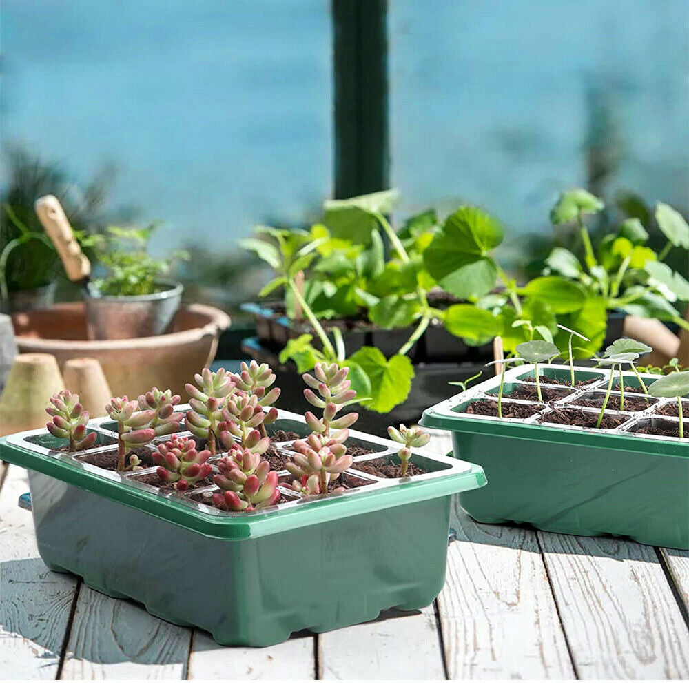 10 Set 12 Hole Plant Seeds Grow Box Propagation Nursery Seedling Starter Tray AU